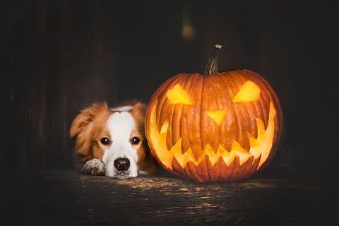 Ready or not, here comes fall!