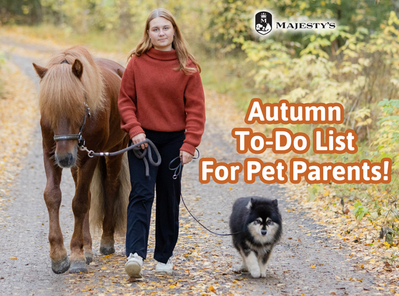 Autumn To-Do List For Pet Parents!