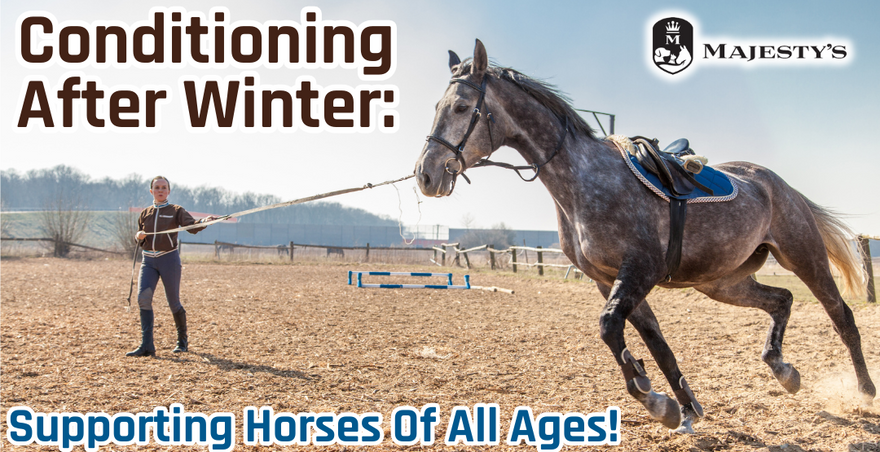 Conditioning After Winter: Supporting Horses of All Ages!