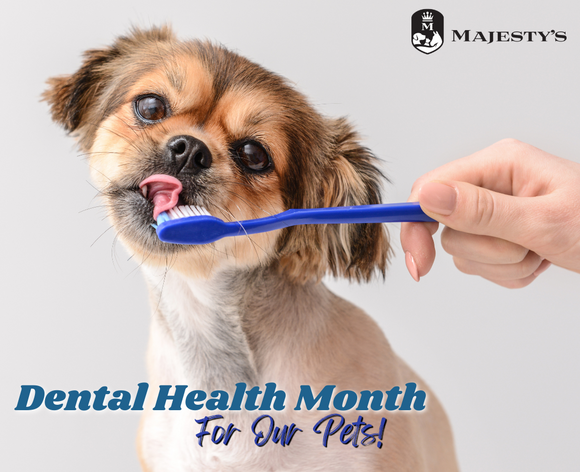 Dental Health Month For Our Pets!