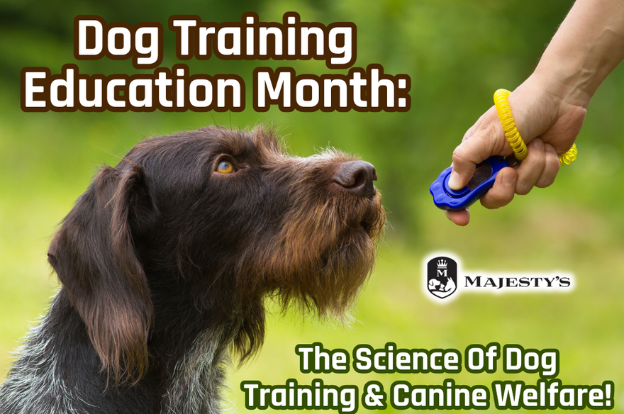 Dog Training Education Month: The Science of Dog Training & Canine Welfare