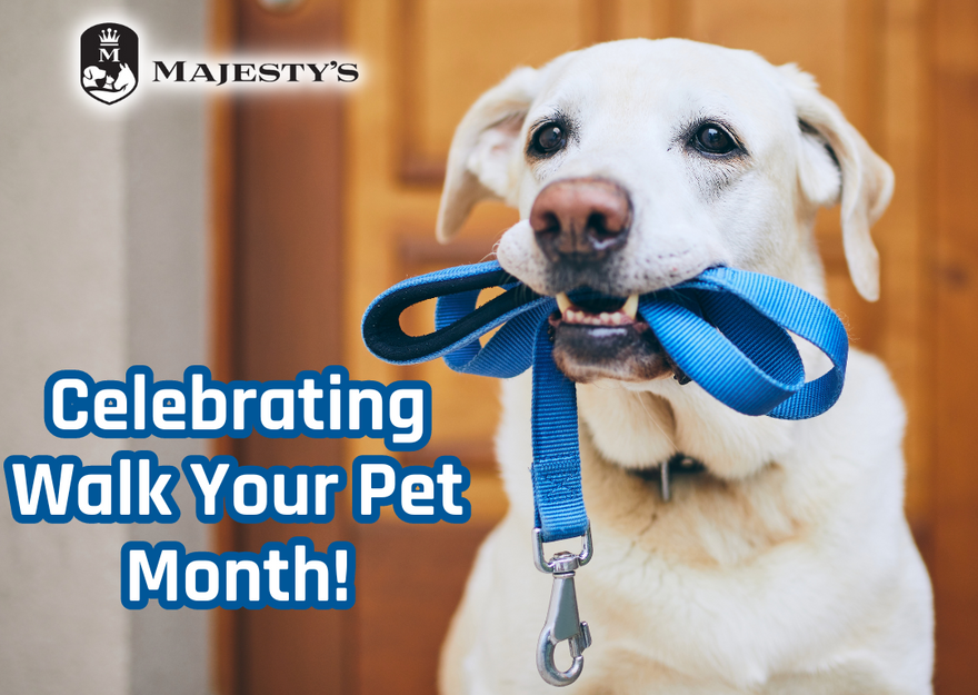 Embracing Wellness: Celebrating Walk Your Pet Month!