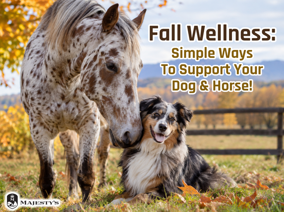 Fall Wellness: Simple Ways to Support Your Dog and Horse!