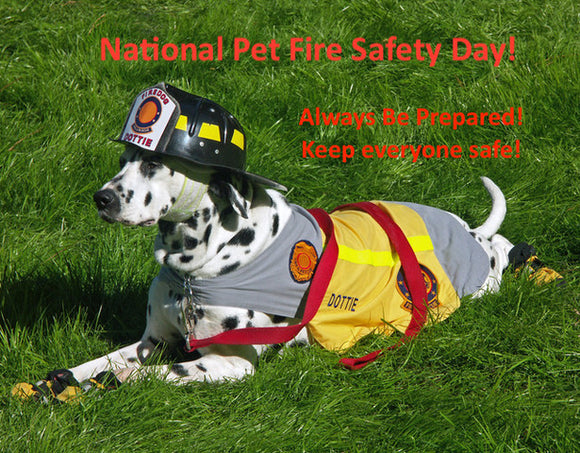 National Pet Fire Safety Day!
