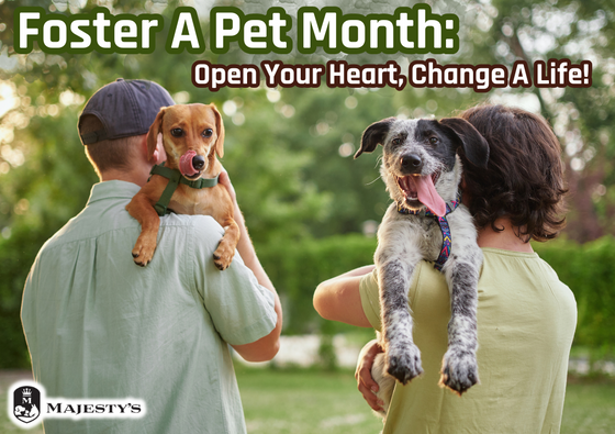 Foster A Pet Month: Open Your Heart, Change A Life!