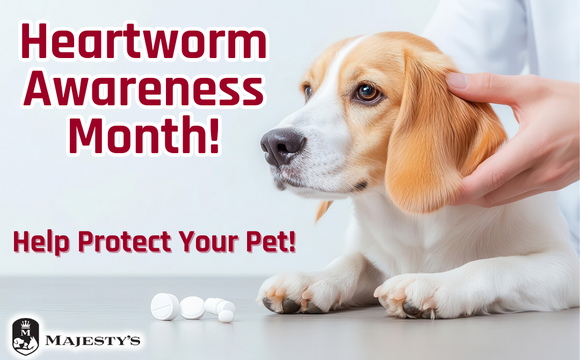 Protect Your Pet: Heartworm Awareness Month!