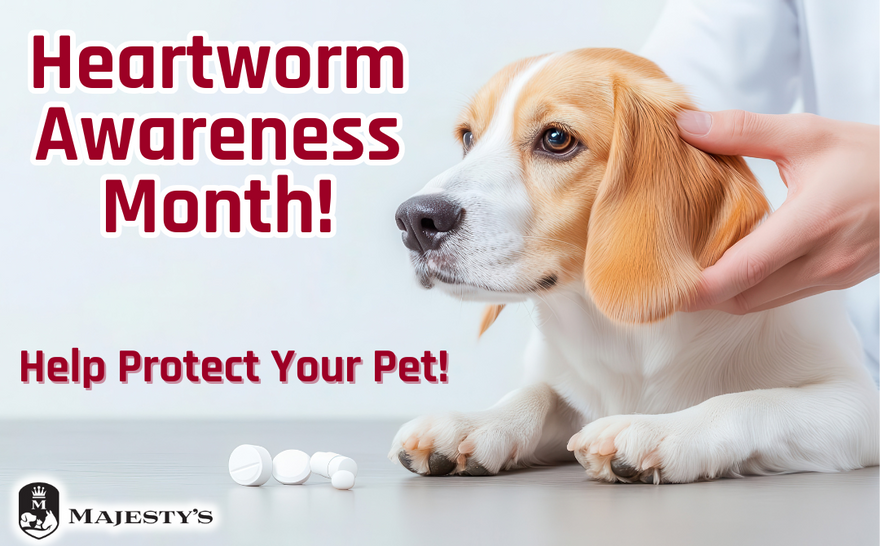 Protect Your Pet: Heartworm Awareness Month!