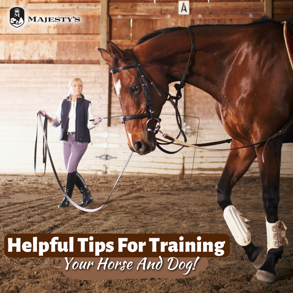 Helpful Tips For Training Your Horse And Dog