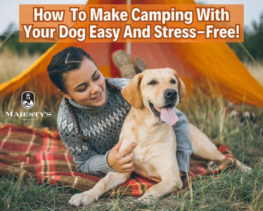 How To Make Camping With Your Dog Easy And Stress-Free!
