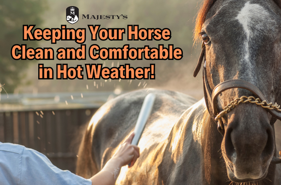 Keeping Your Horse Clean and Comfortable in Hot Weather!