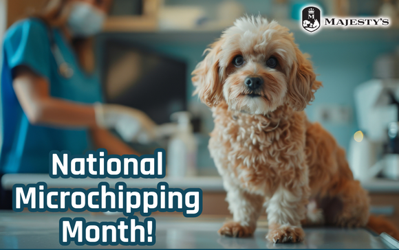 National Microchipping Month!