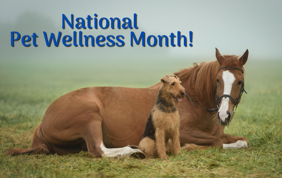 Keep Them Healthy & Happy!