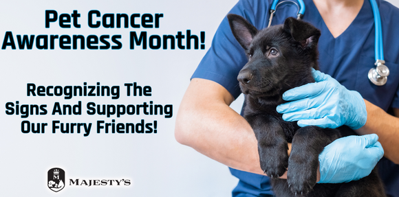 Pet Cancer Awareness Month!
