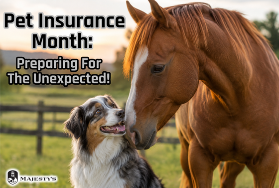 Pet Insurance Month: Preparing For The Unexpected!