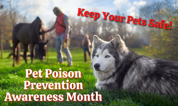 Pet Poison Prevention Awareness Month