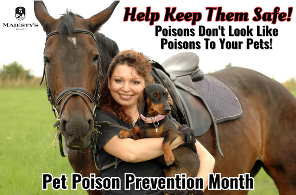 Common Household Items You May Not Realize Are Toxic To Your Horse And Dog