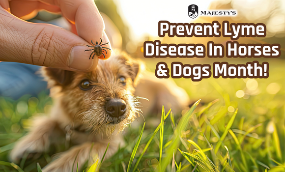 Prevent Lyme Disease in Horses and Dogs!