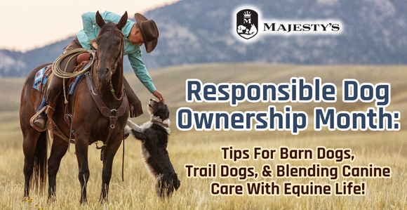 Responsible Dog Ownership Month – Tips for Barn Dogs, Trail Dogs & Blending Canine Care with Equine Life!