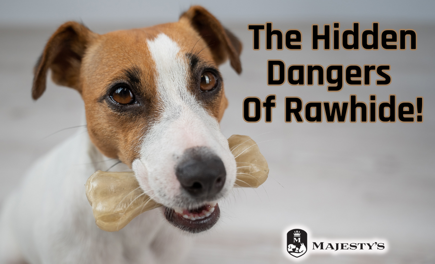 The Hidden Dangers of Rawhide for Dogs What Every Pet Owner Should Kn Majesty s Animal Nutrition