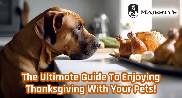 The Ultimate Guide To Enjoying Thanksgiving With Your Pets!