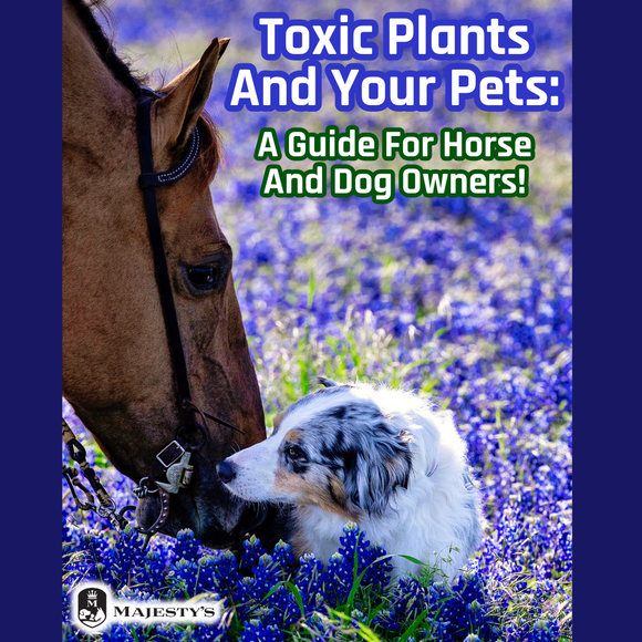 Toxic Plants and Your Pets: A Guide for Horse and Dog Owners!
