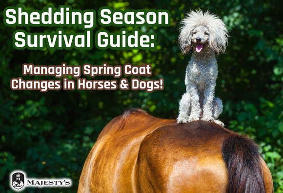 Shedding Season Survival Guide: Managing Spring Coat Changes in Horses & Dogs!