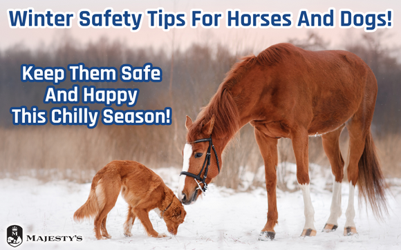 Winter Safety Tips for Horses and Dogs!