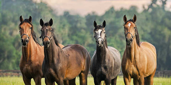 Biotin: What's the Big Deal? Benefits and Quick Facts...