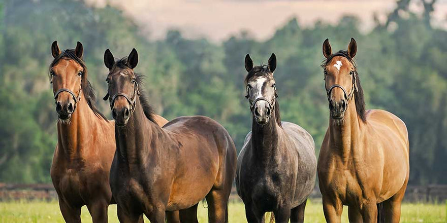 Biotin: What's the Big Deal? Benefits and Quick Facts...