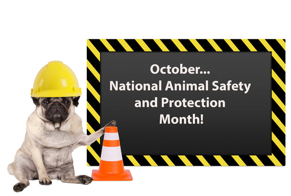 Keeping our Animals Safe!