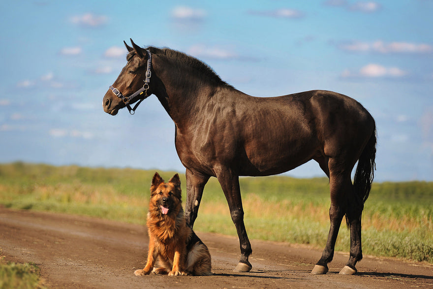 Summertime Adventures and...Anxiety?
