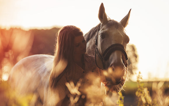 Detoxing Your Horse Can Be Beneficial…
